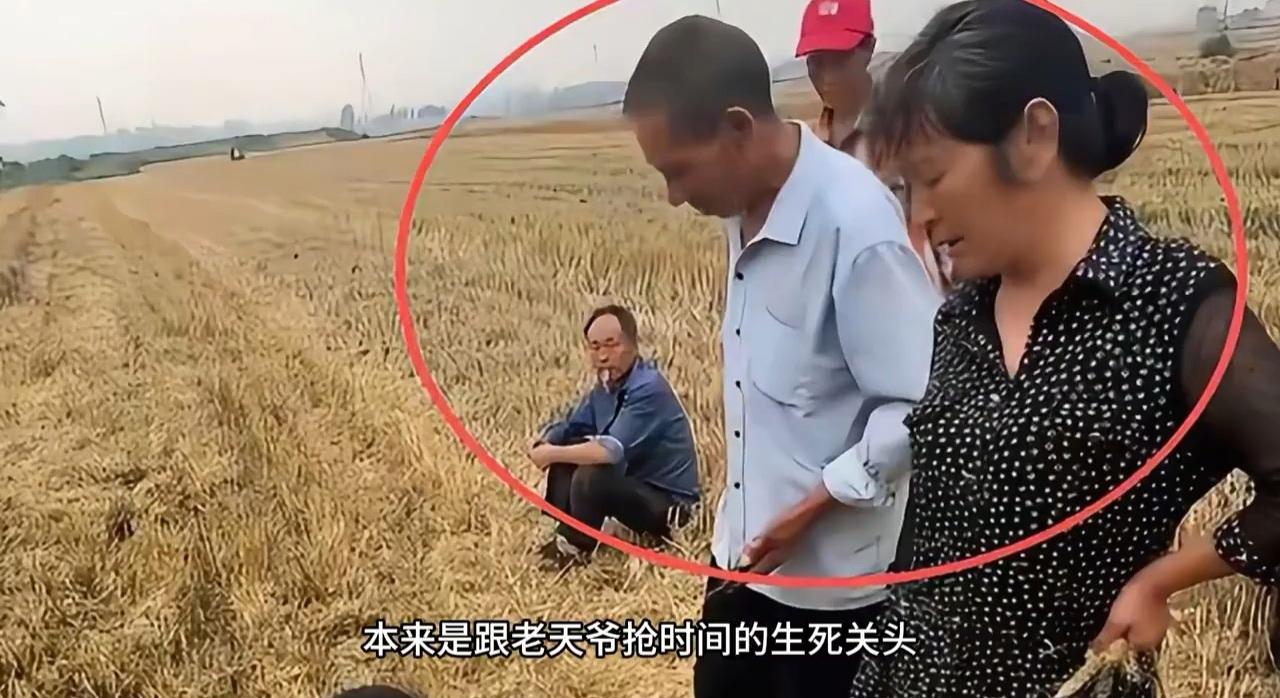“割四赔五”是因为“大小亩”，统一度量衡的秦始皇来了，也得承认！农田地亩分大小