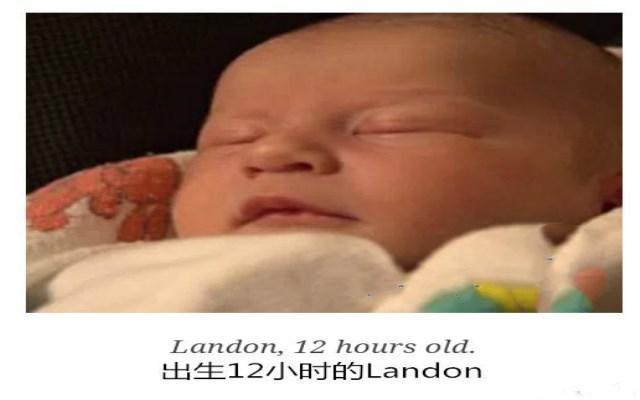 出生15天的宝宝一睡不起, 离去前哇哇直哭, 饿得瘦骨嶙峋