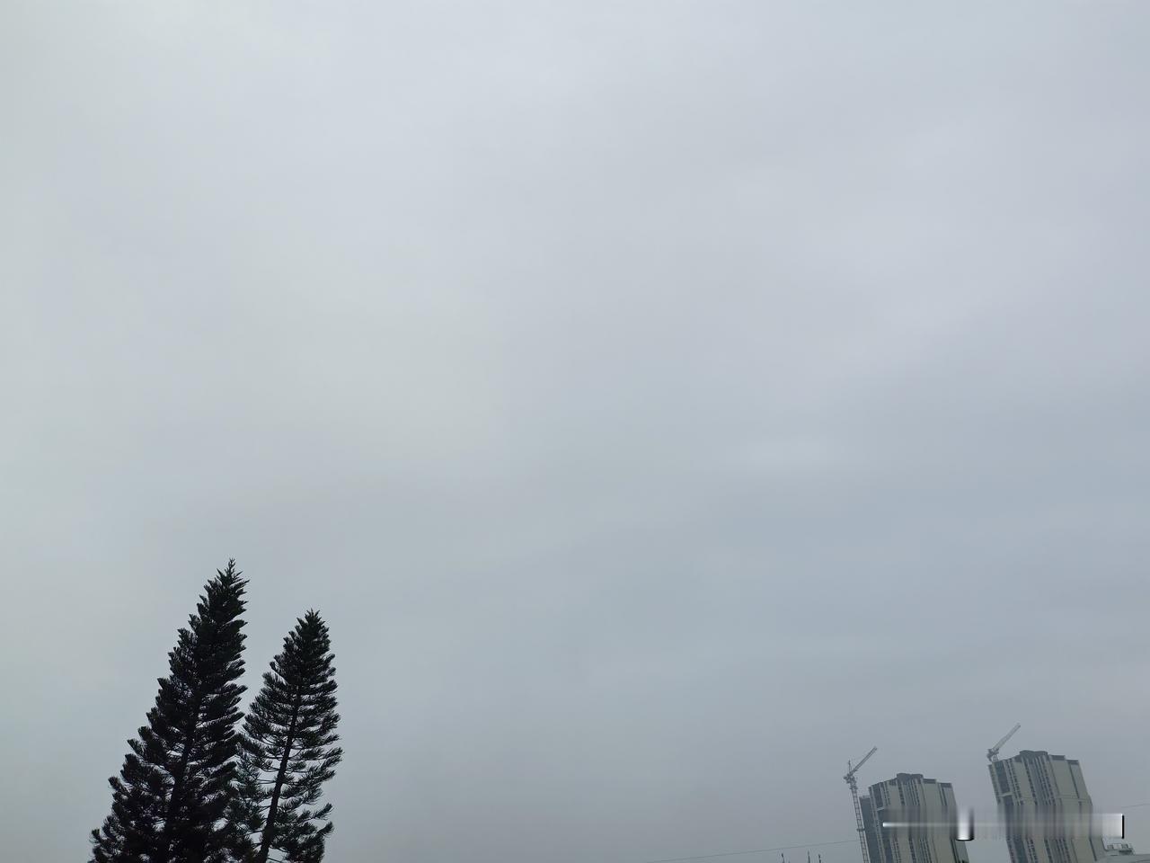 广东将迎“阿雨”和“阿冷”！雨雾天气来袭，湿度增大，还有冷空气也要来！部分市县昨