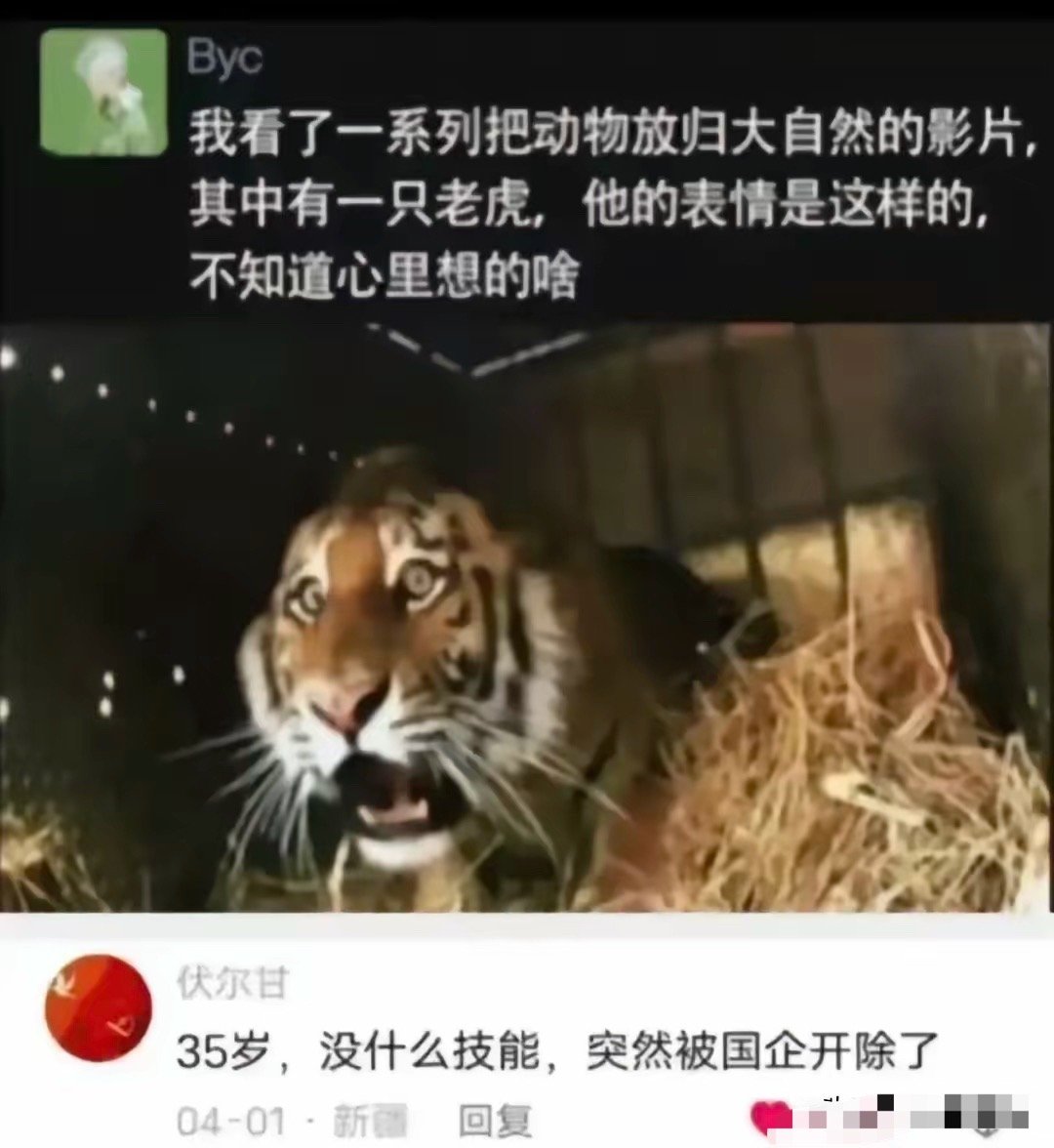 以后好难啊[doge]​​​
