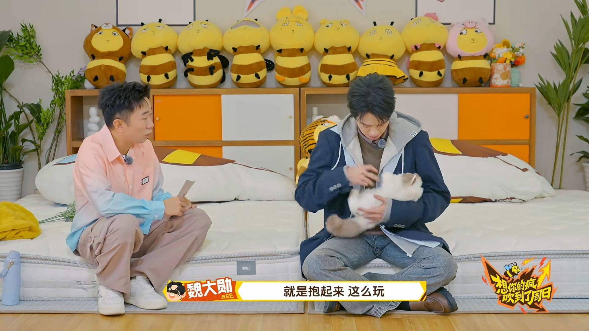 魏大勋还原摸猫神图名场面魏大勋现场还原西装革履逗小猫神图，看到玩具猫眼神一秒温