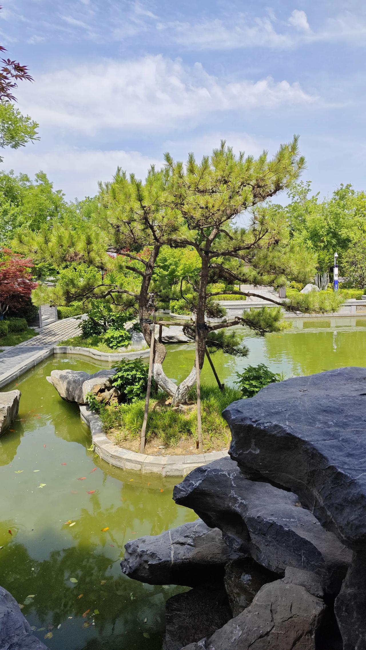 为了不得癌，一直坚持以下11个日常习惯：1.坚决不吃刚出锅的烫食，不喝超过