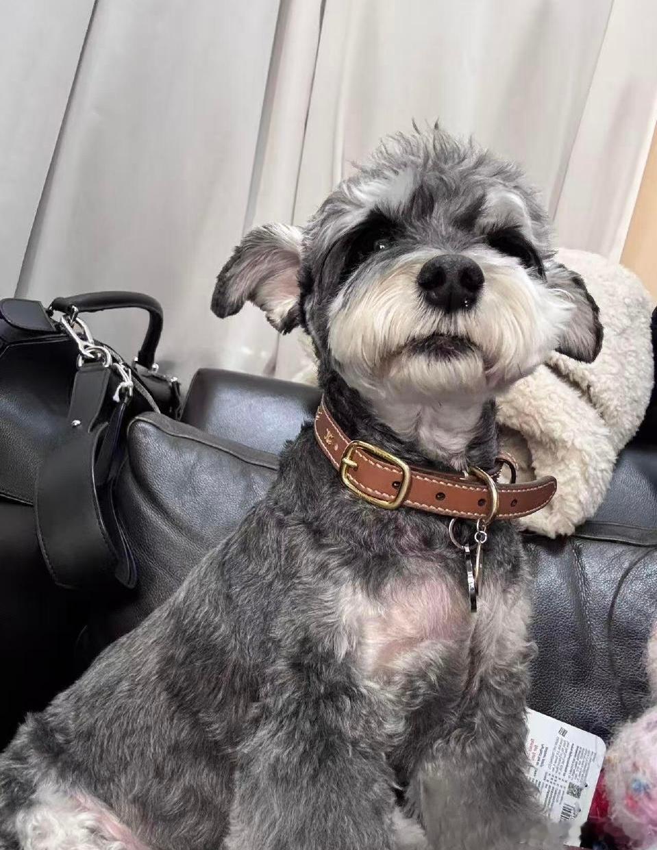 刘呆米|刘宇宁呆米宝贝，昨天被你乖萌的样子又可爱到了！我们女明星现在是越来