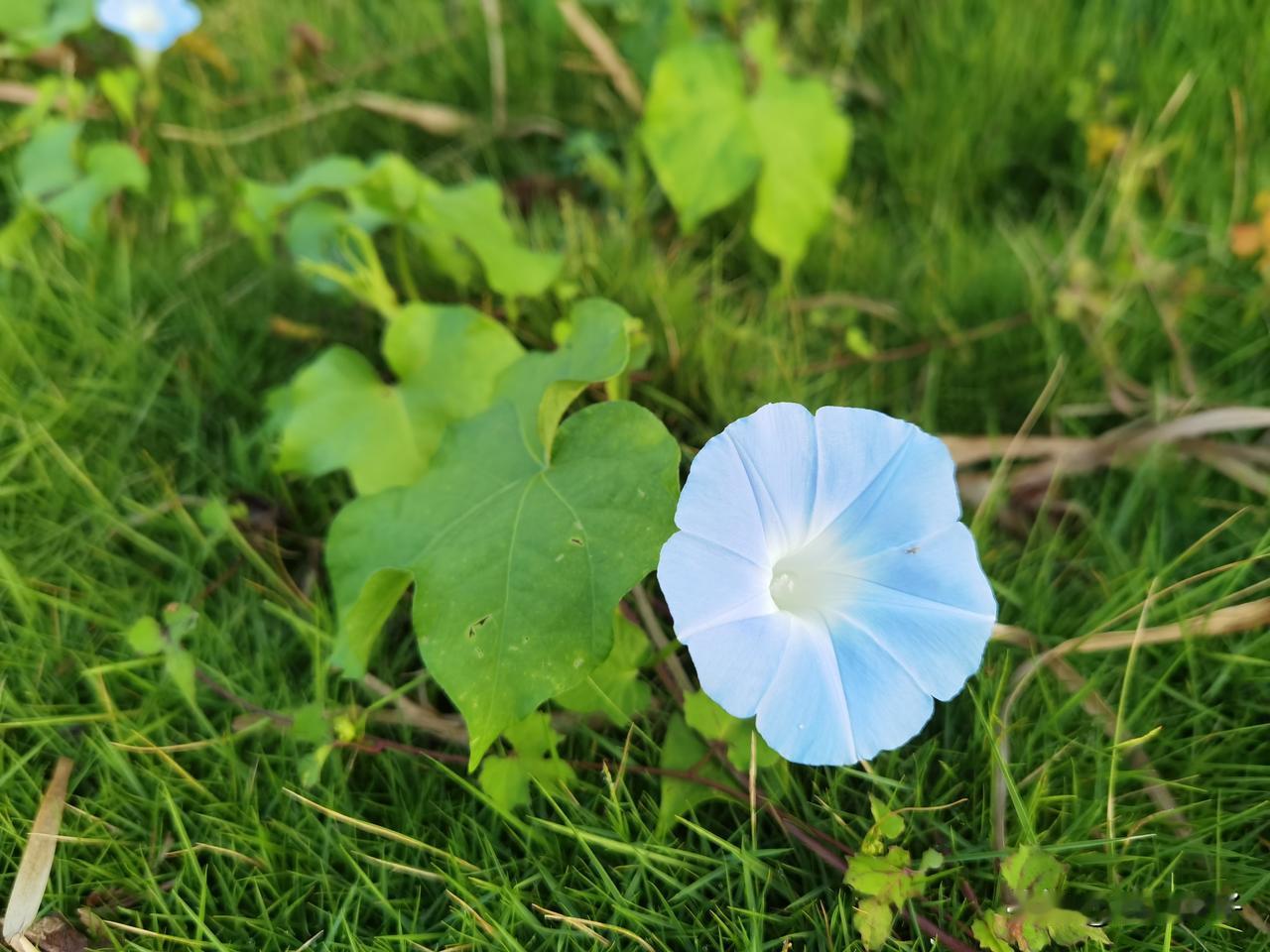 姚策面对记者采访说，声称已经停药两个月，身体的癌细胞不知长了多少？肉眼都可以看的