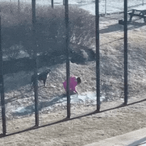 能不能确定，妹子遛的是狗子吗？