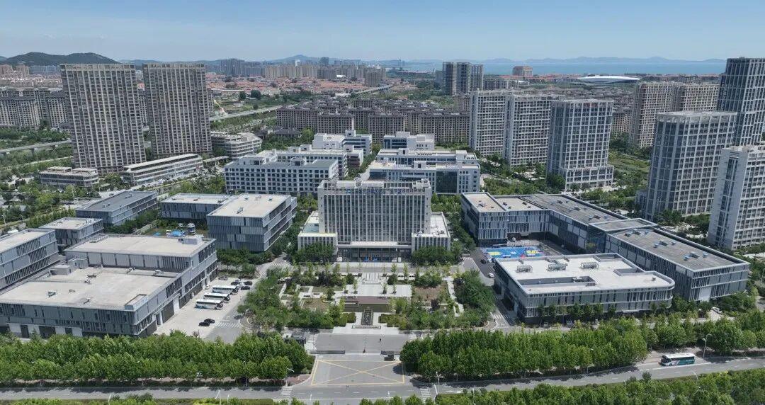 青岛豪掷2100亿引爆蓝色革命！2026年百个亿元项目瞄准深海，中国三文鱼自由竟