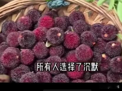 你还敢吃杨梅吗？不看不知道，一看吓一跳！杨梅，这种水果，外观红里发亮，味道