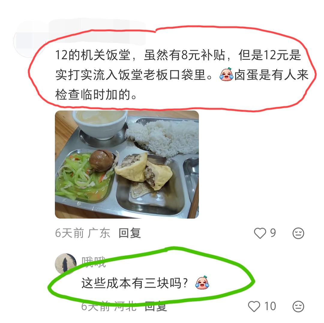 广东网友发在别人评论区的一条:12元的机关饭堂餐食，虽然有8元补贴，但是12元是