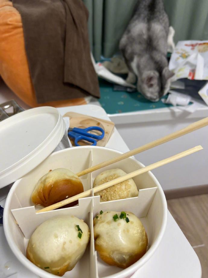 小猫晚上被自己香的睡不着