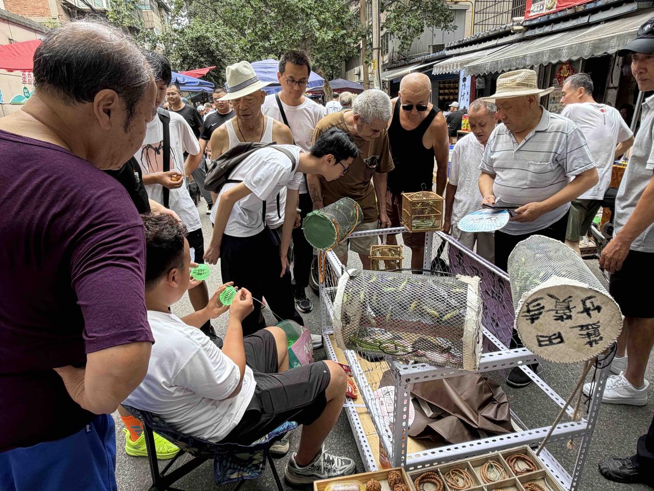 今天上午，我逛西安档子，走到西仓西巷时，看到路中间，围着一大堆人，就走了过去。