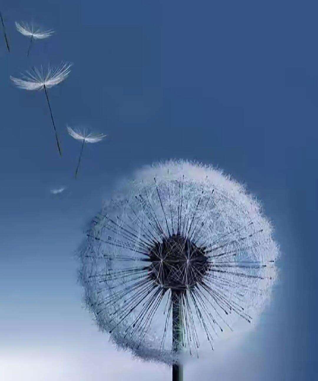 莫言说：“我以前喝酒，一劝就干，不劝也干，一直干到丑态百出！退休后才发现，什