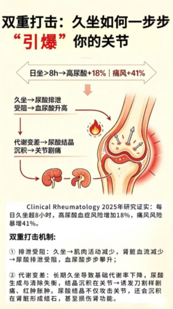 全国近三分之一青年男性尿酸超标你以为只要不喝啤酒不吃高嘌呤食物就不会得高尿酸血症