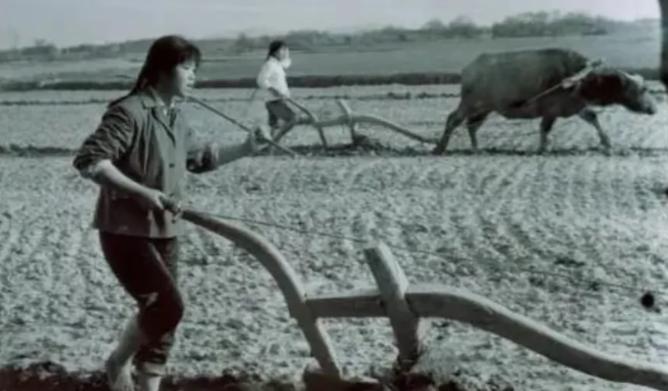 1977年，32岁女知青刘琦返城无望，嫁给一位农民。那年头城里姑娘嫁农村汉子