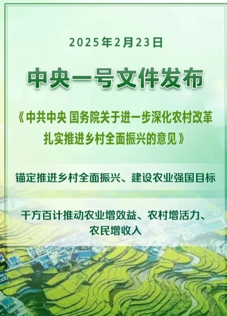 中央一号政策出来后，农村宅基地大概率会出现3个现象：1、村委得开始忙碌了，估