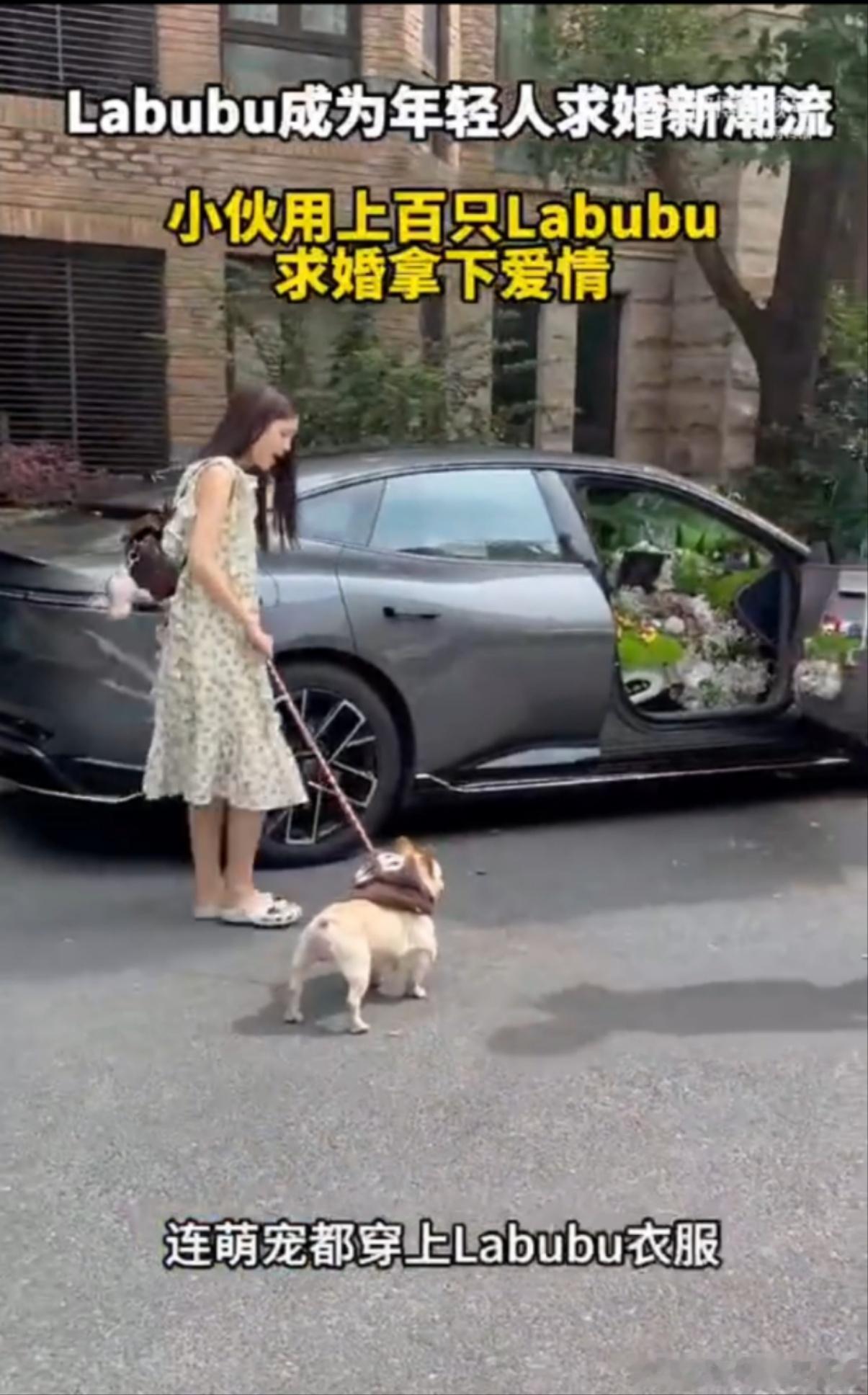 小伙用上百只Labubu求婚拿下爱情小伙儿开阿维塔06用一车Labubu求婚，0