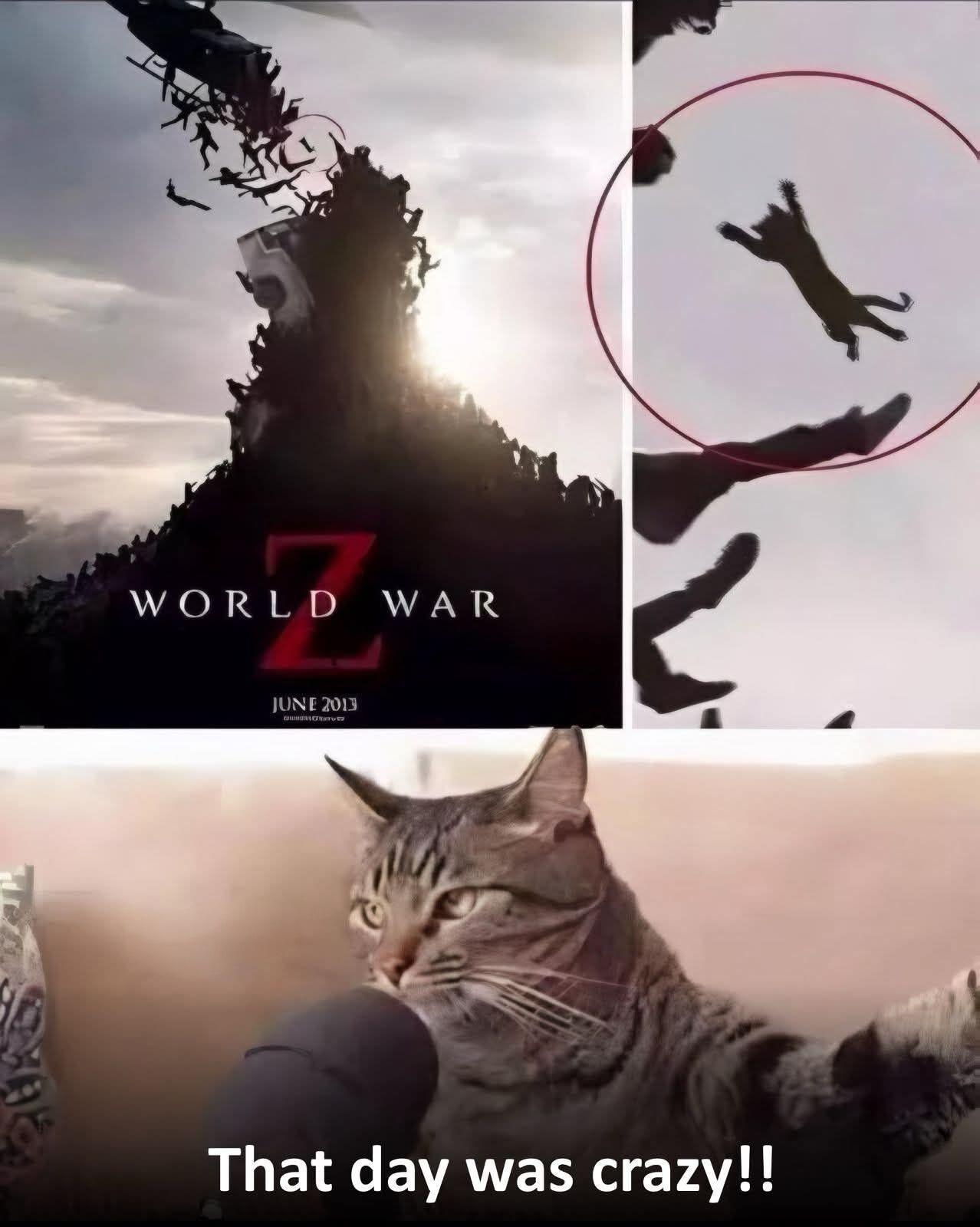 🐱：那真是疯狂的一天