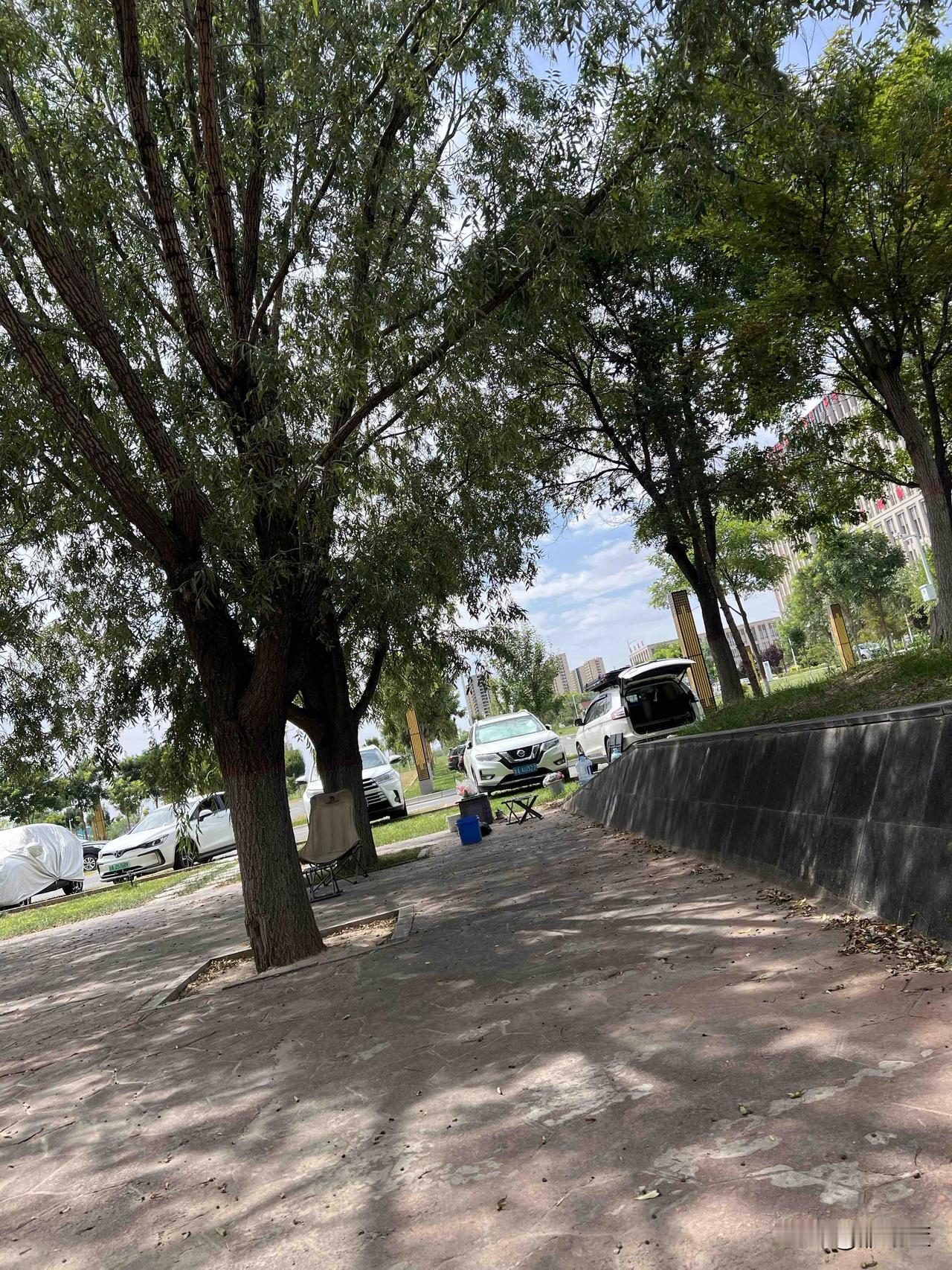 今天在兰州新区看向日葵花海，看完花海去新区的市民广场休息，发现很多外地人开的房车