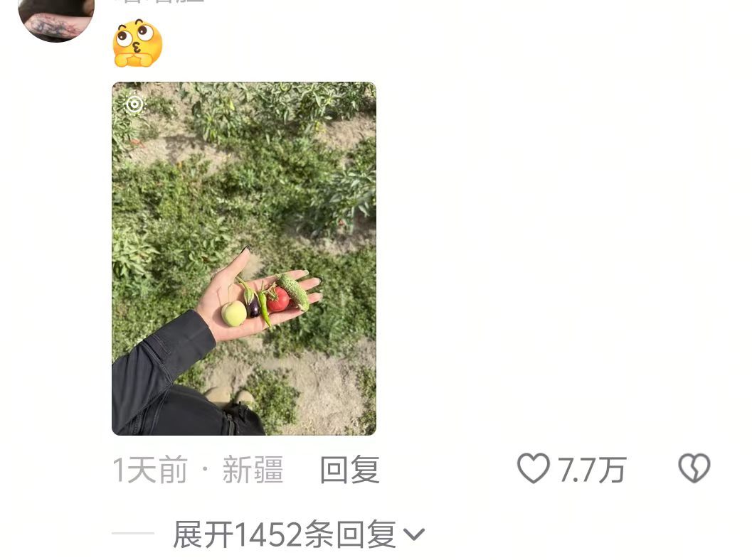 《迷你版蔬菜》果然什么东西在小的时候都很可爱