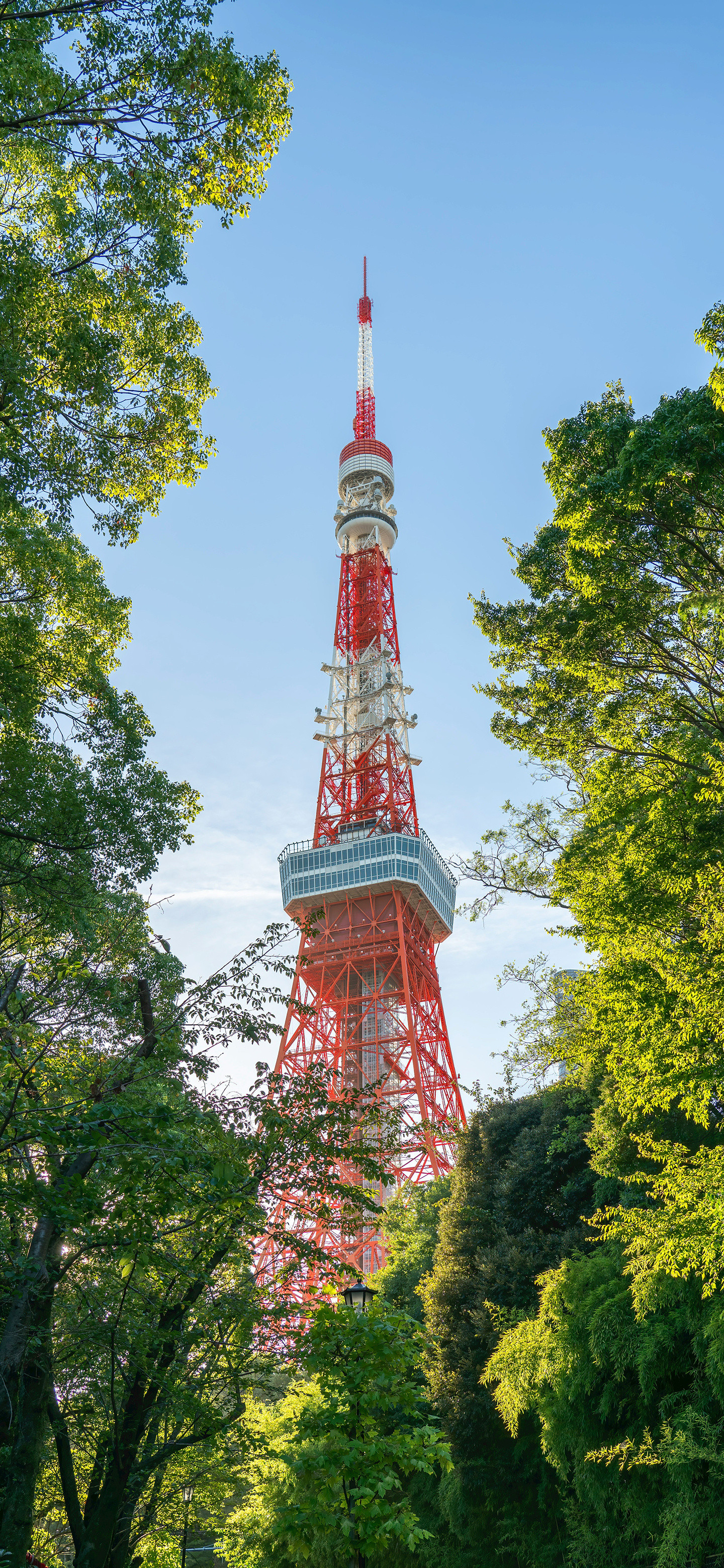 早啊，兄弟们周五周五敲锣打鼓风景壁纸​​​