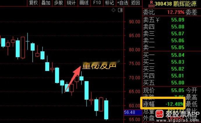 鹏辉能源董秘前几天批评了一下量化，最近股票被砸成狗了！这到底只是巧合，还是量化真