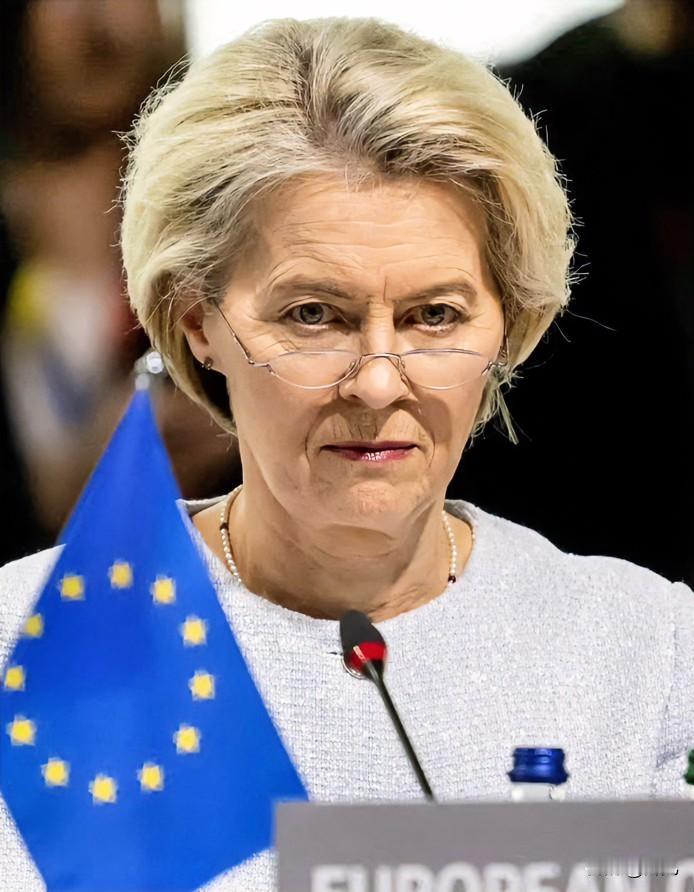 太尴尬了！冯德莱恩被当众怒斥，欧洲议员呼吁将其关进疯人院。针对欧盟主席冯德莱恩不