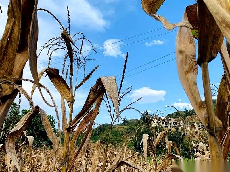 你穷的时候，千万别去走亲戚。真的，不是让你六亲不认，是让你认清人性。等你熬出头