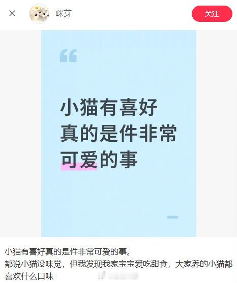 猫咪的奇葩行为