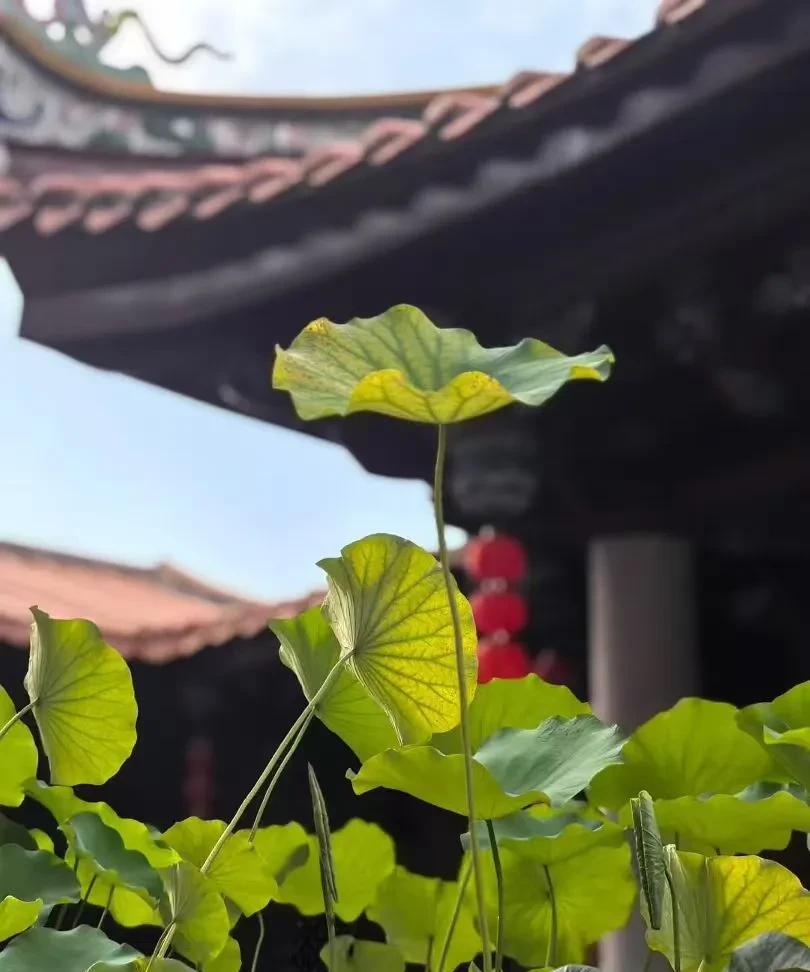 打牢基础是学八字的关键学八字预测有没有捷径，本人认为没有，古人云:九层之塔起于