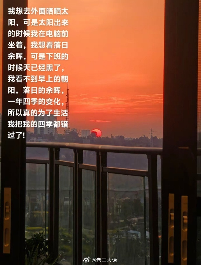 到底是什么伟大前程值得把每个四季都错过​​​