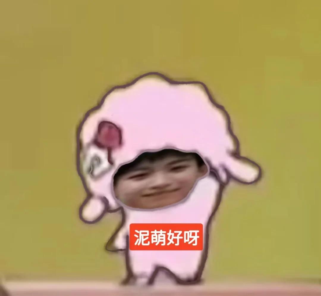 可可爱爱，没有脑袋没有taglp梗图