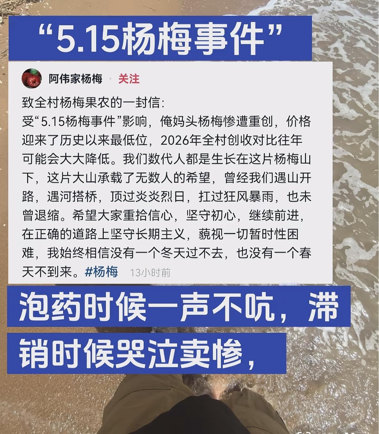 漳州杨梅被曝出来后，很多所谓的当地人出来说果农无辜，他们被经销商坑惨了。他们
