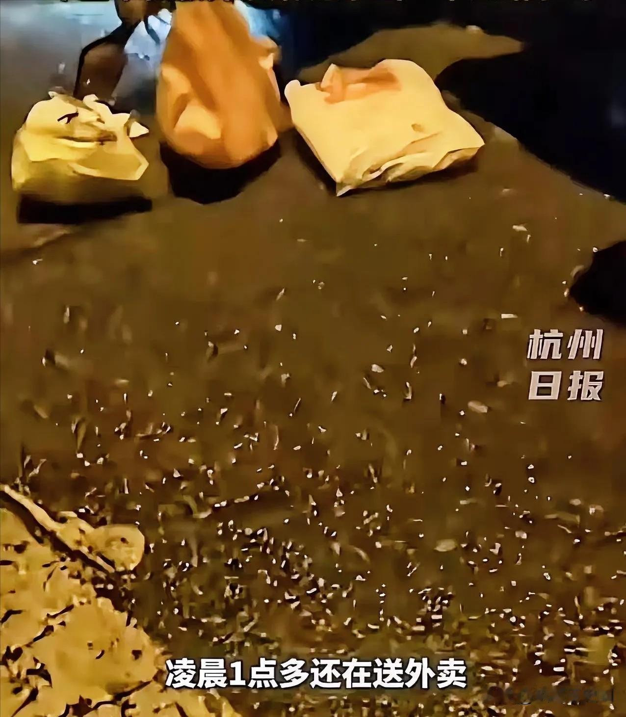 “人究竟可以善良到什么程度？”浙江杭州，外卖小哥凌晨追尾一辆汽车，恳求车主：“能