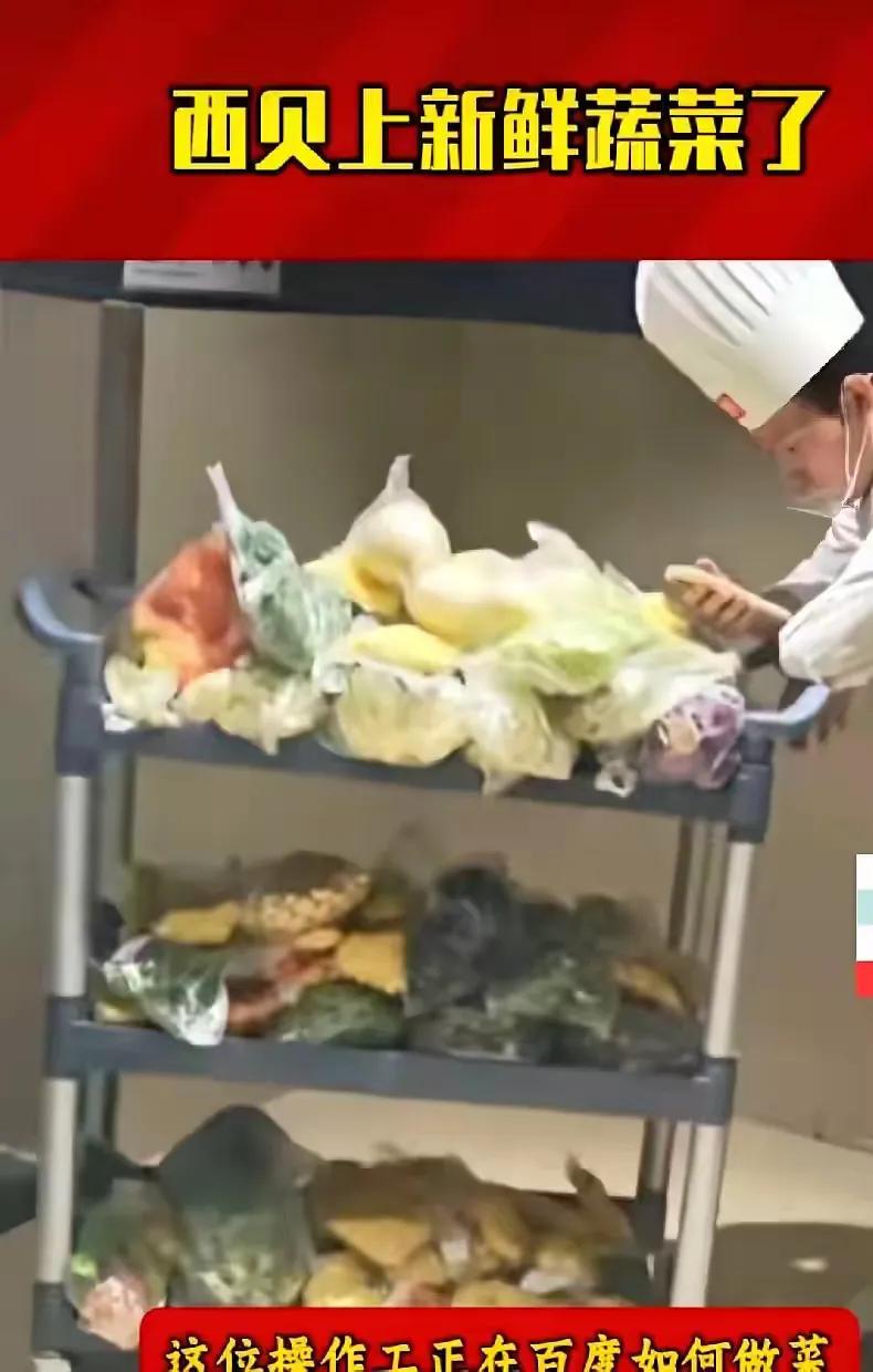 69块涨到75！西贝悄悄把挂面套餐提价6块，理由只有一句：不用冷冻菜了！网友表