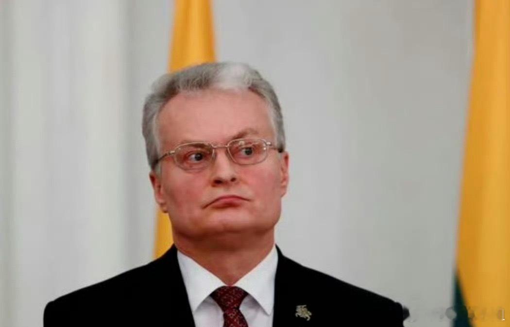 2023年，立陶宛发布“不友好国家”名单，中国被列为“对立陶宛国家安全构成威胁的