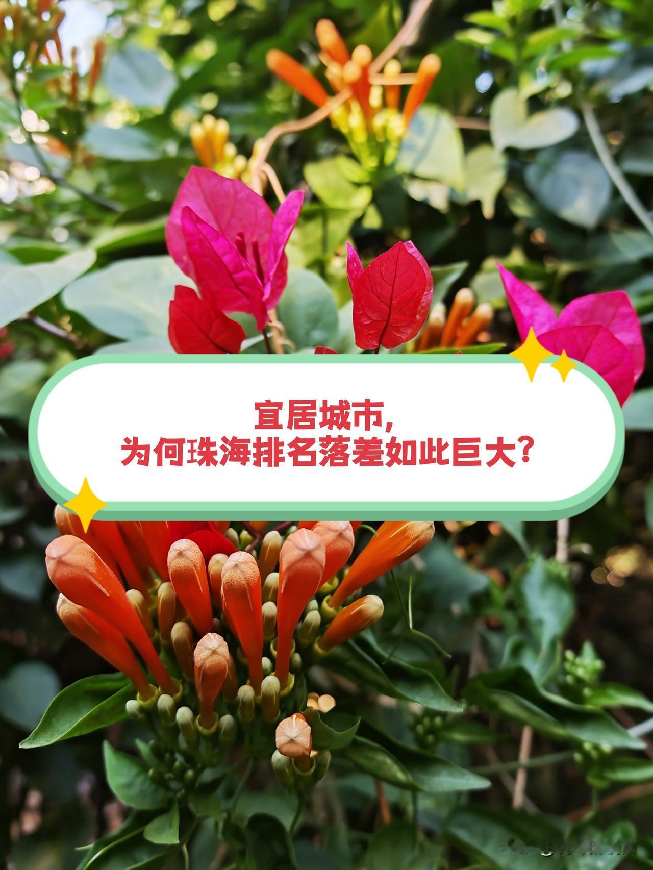 珠海在不少宜居城市排行榜里，常常位居前列，甚至荣登榜首。然而在《2024-2