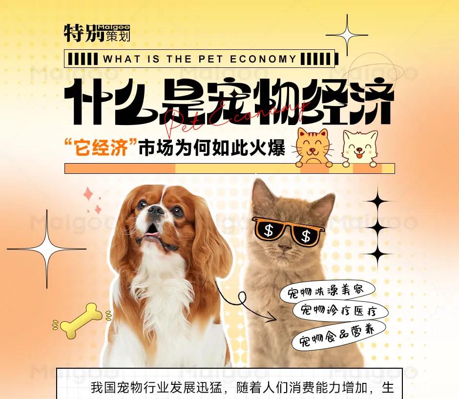 一、现象：人不如狗，爹娘不如猫这不是段子，是正在上演的现实。"猫狗是家人