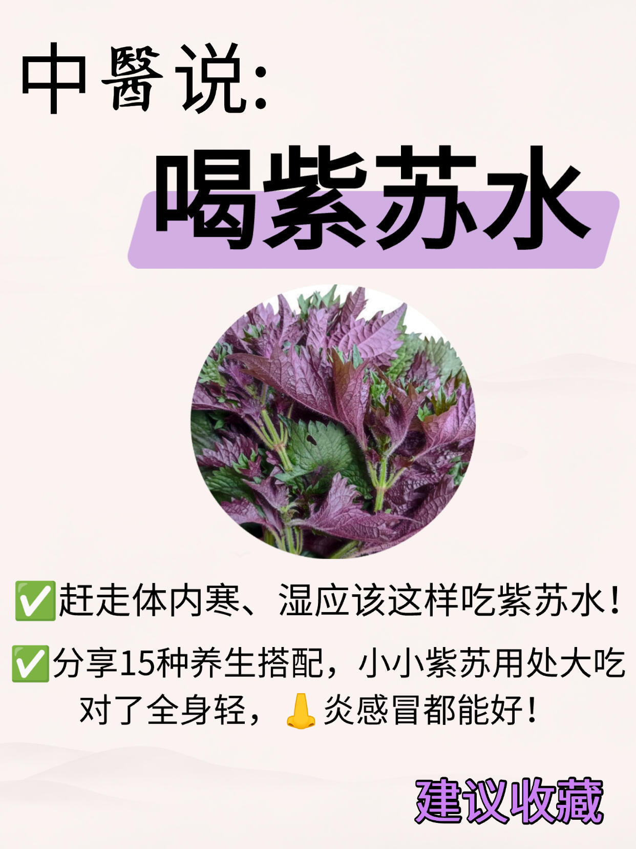 紫苏叶15种搭配，赶走寒湿❗️防鼻炎感冒国医的精诚力量​​​