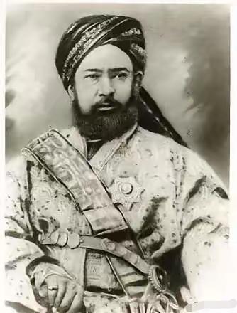 让人不敢相信！外国的一个流浪的儿童，竟然占领了我国的新疆。阿古柏是浩罕汗国人