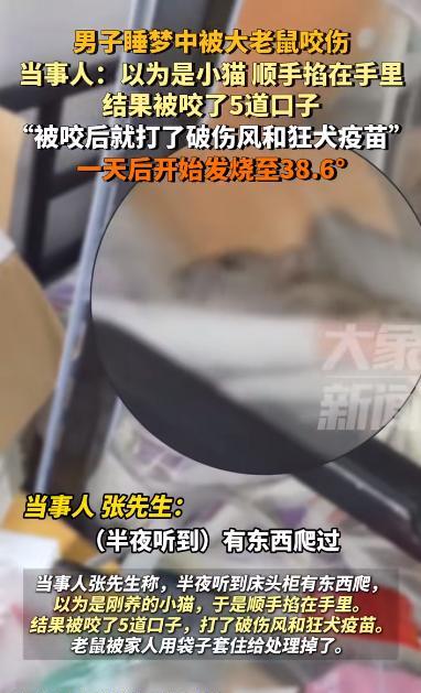 “离了个大谱！”2025年6月，江苏无锡，一位男子被突如其来的袭击惊醒。