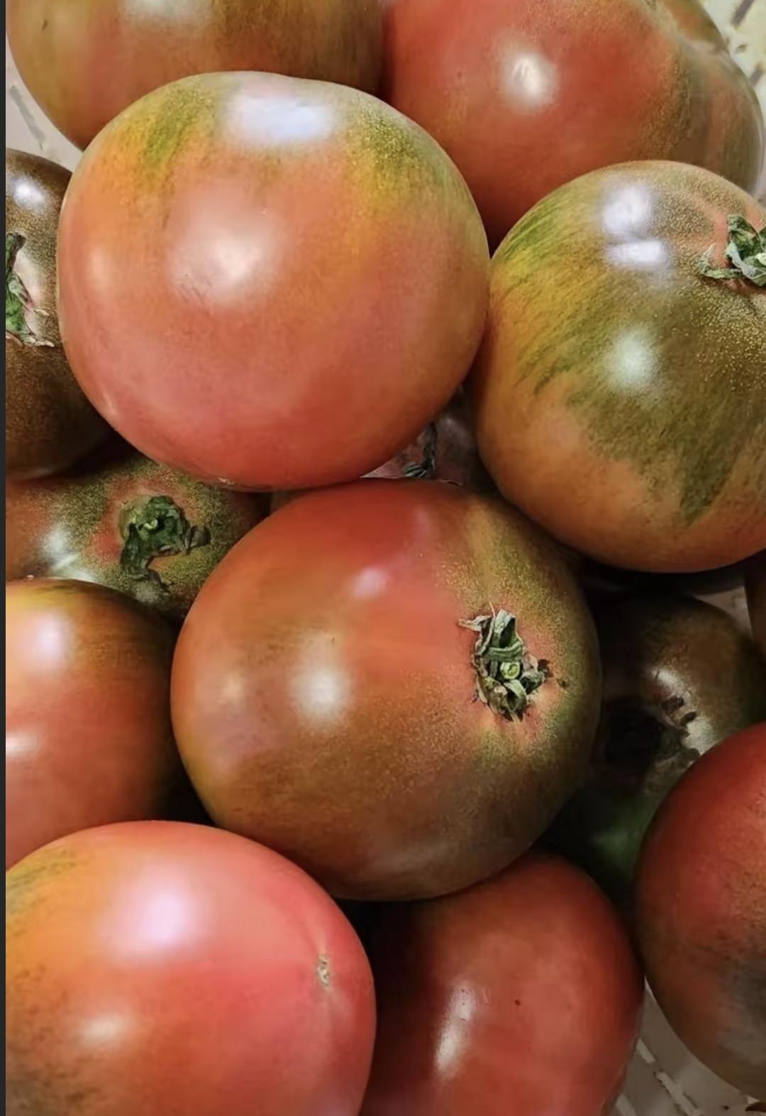 我同事小林最近特别迷西红柿，天天带一兜来上班，说是沙瓤的，贵的那种。她中午吃一半