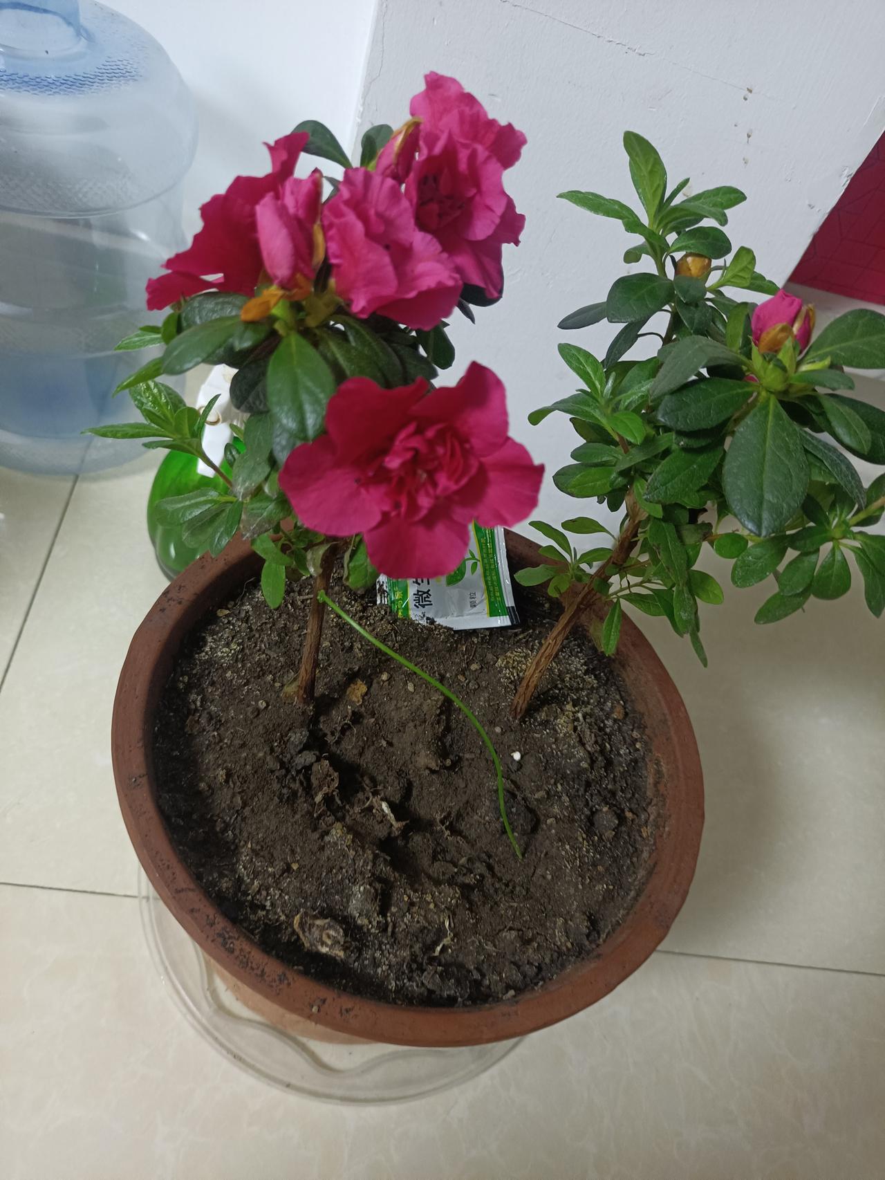 关于选择购买高价还是平价羽绒服，主要可以从以下几个方面进行考虑：质量与保暖性