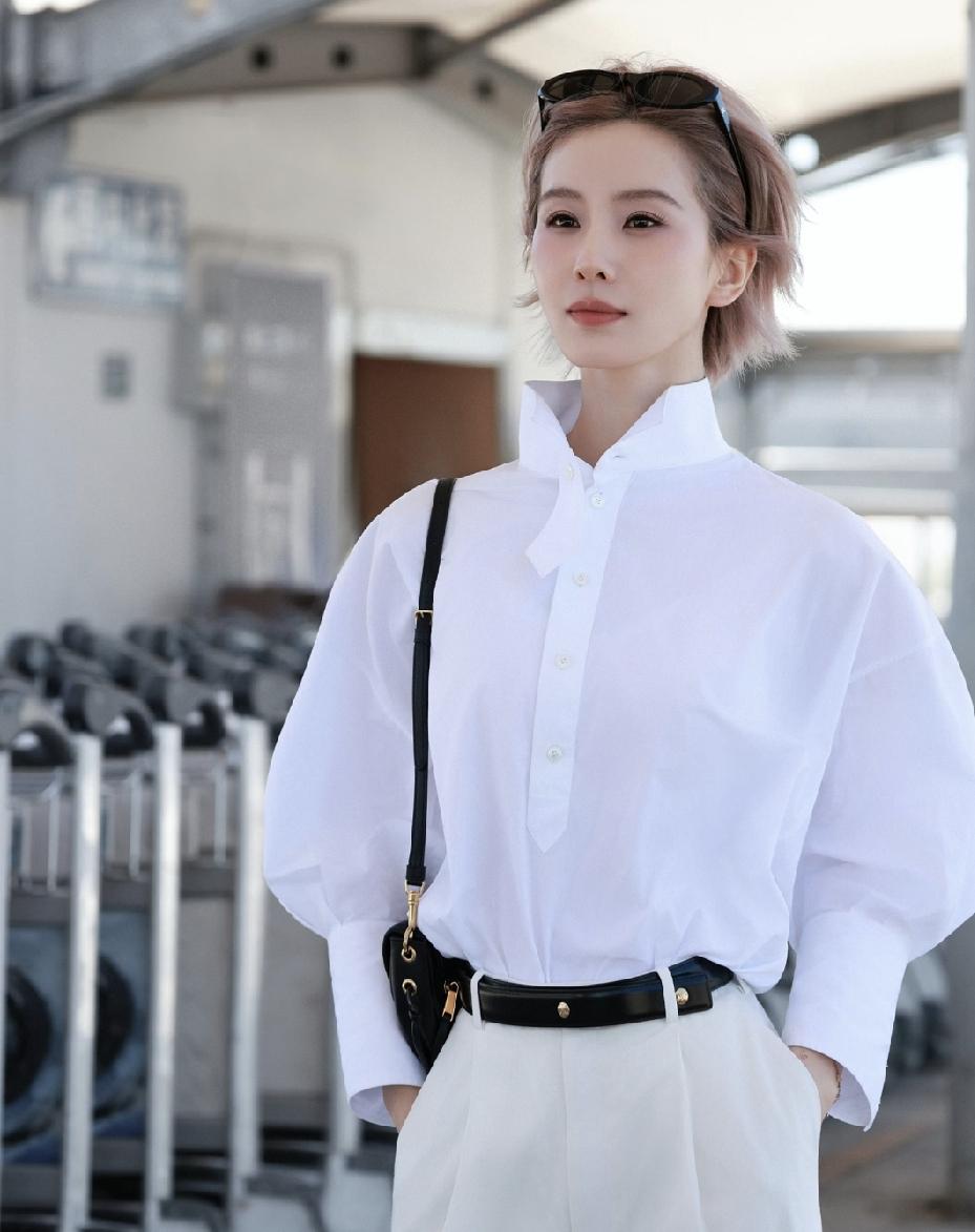 内娱又出现能走红毯的女星了，就是刘诗诗。她这次在巴黎时装周的造型，一头粉发，戴
