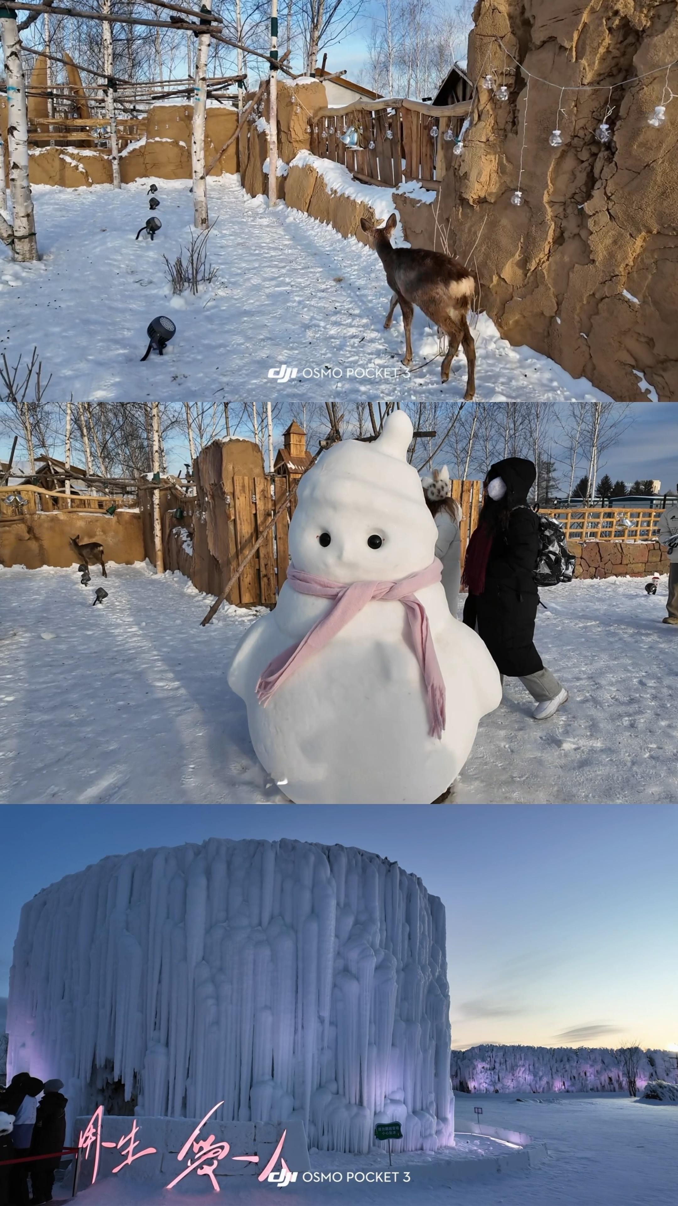 -20℃而已❄️长白山雪延边·长白山麓角村