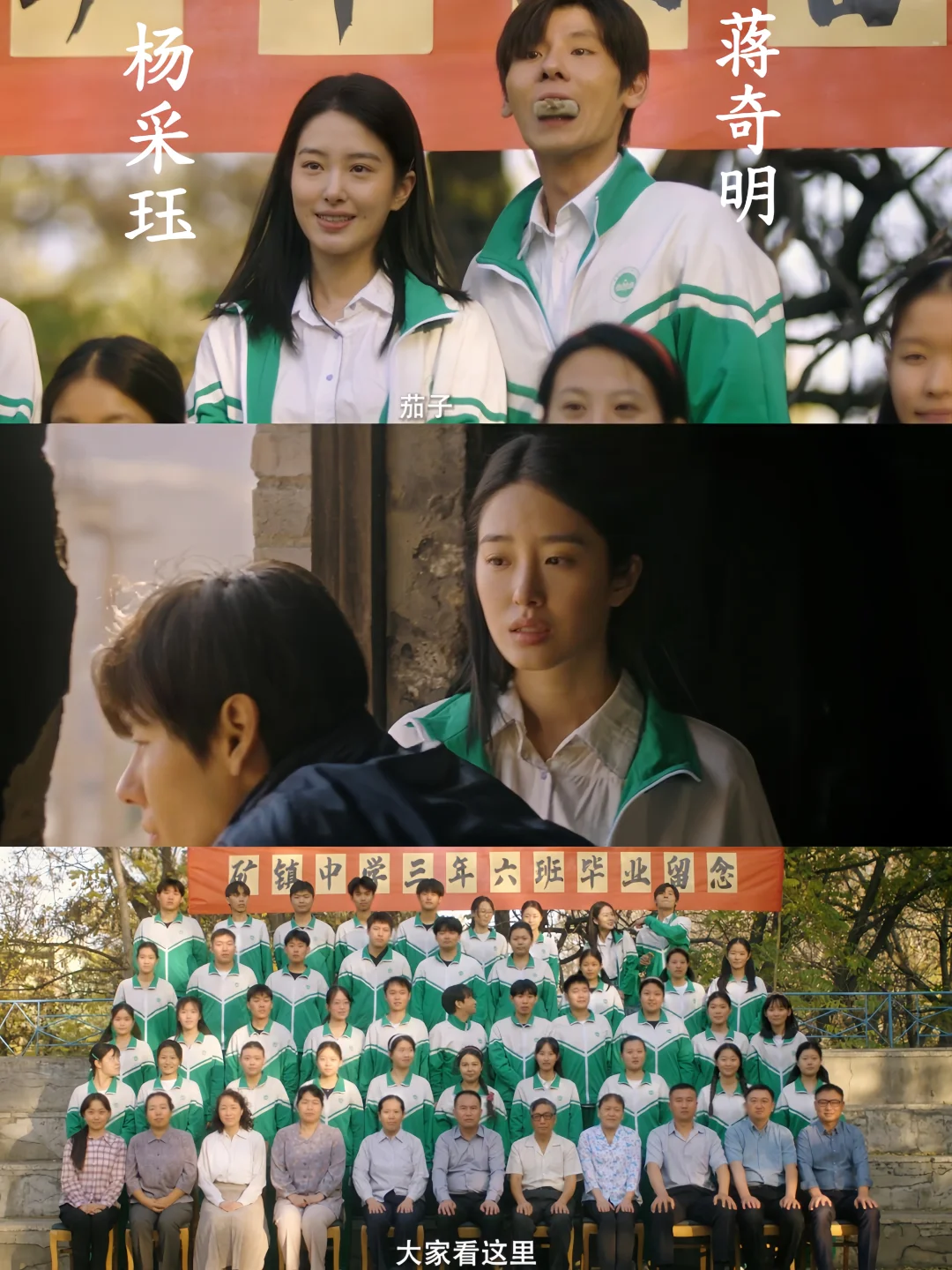 妈呀‼️迷雾剧场悬疑剧‼️连环鲨人案