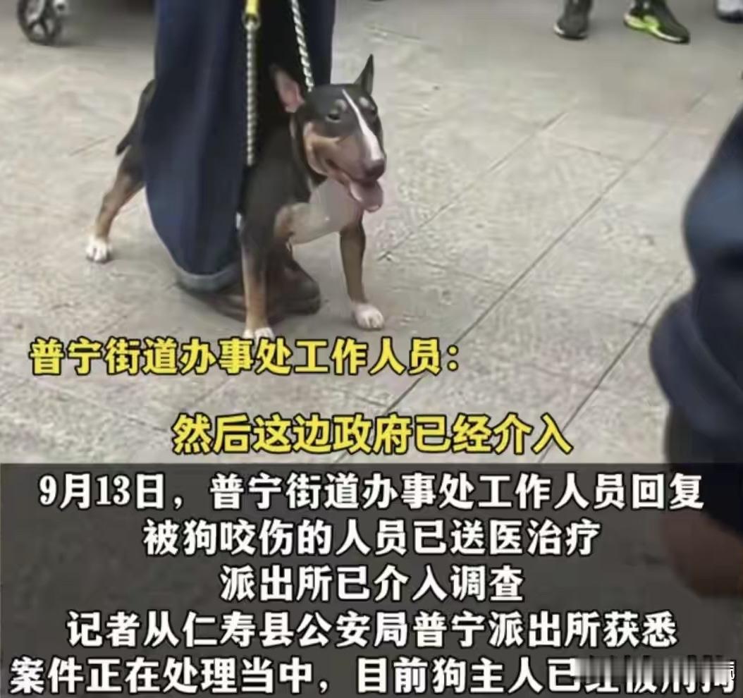 人那么有智慧，却没能管住狗的嘴，这是眉山狗咬人事件给我们留下的最惨痛的教训。这个