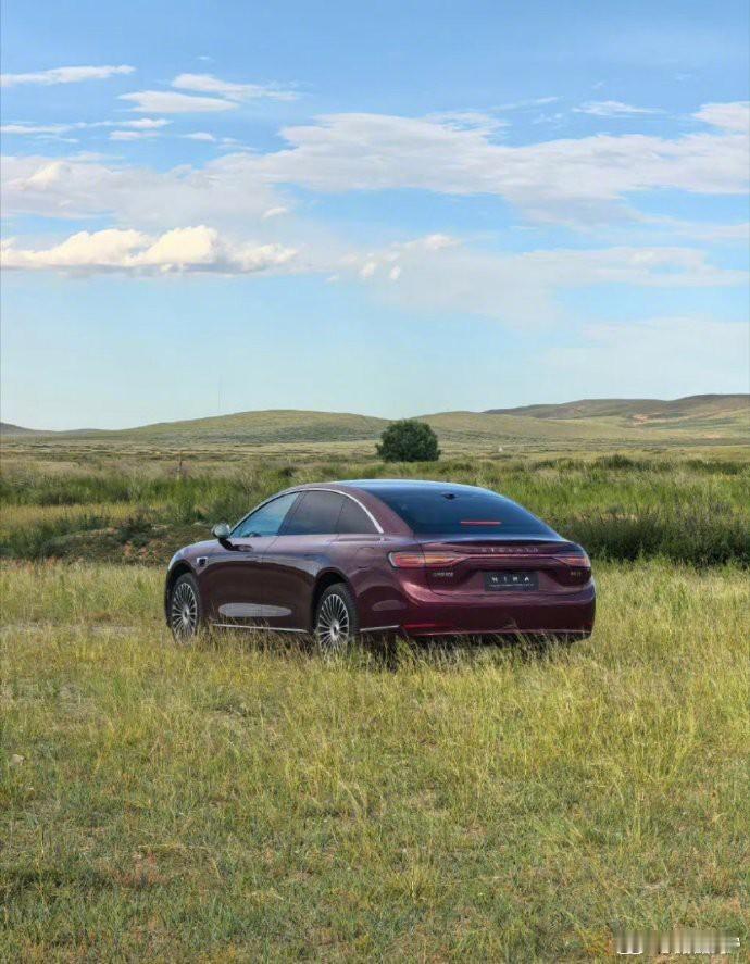 在广袤无垠的草原上，流线车身与自然风光交相辉映。每一次出行都成为一场视觉盛宴，让