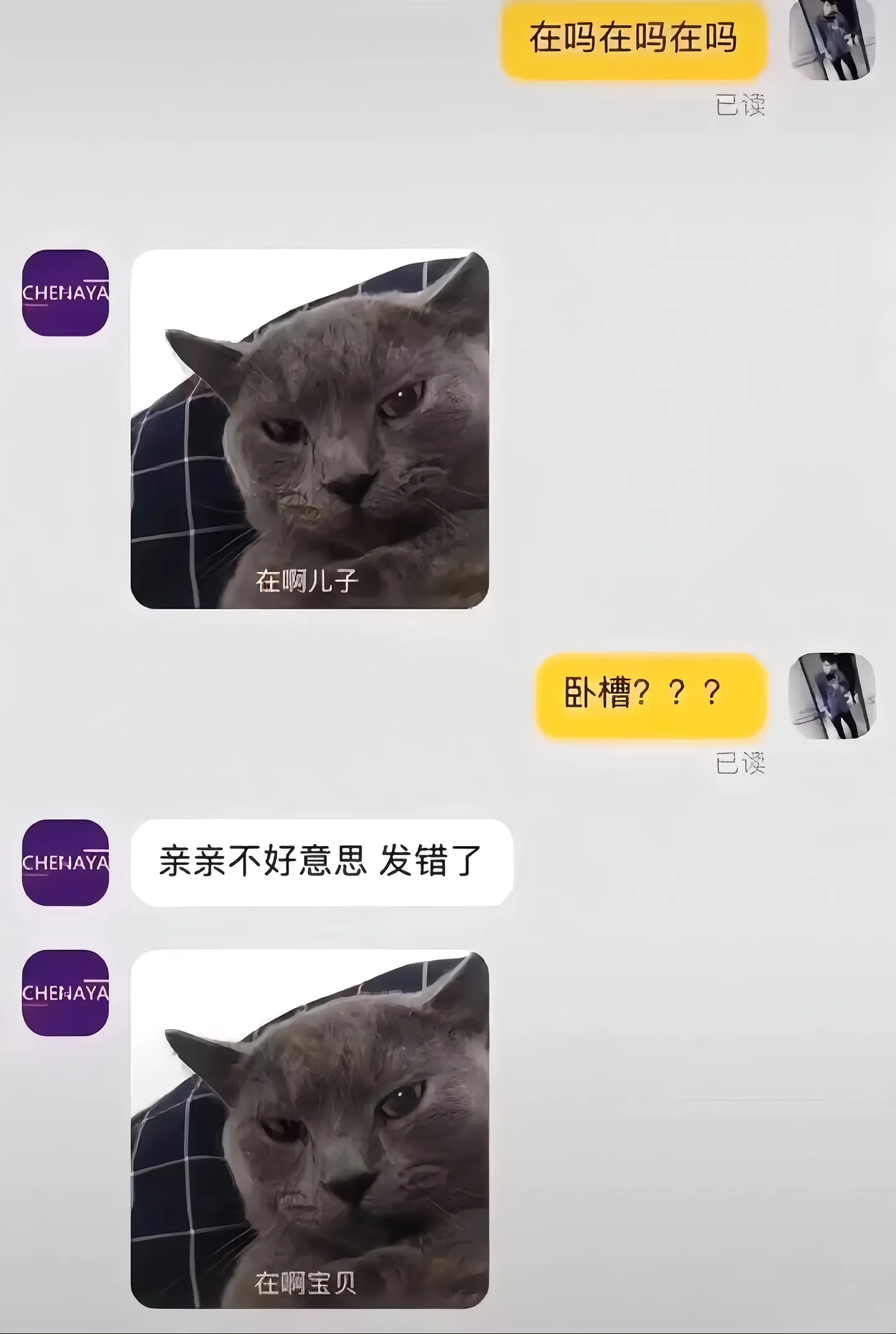 客服也太搞笑了吧