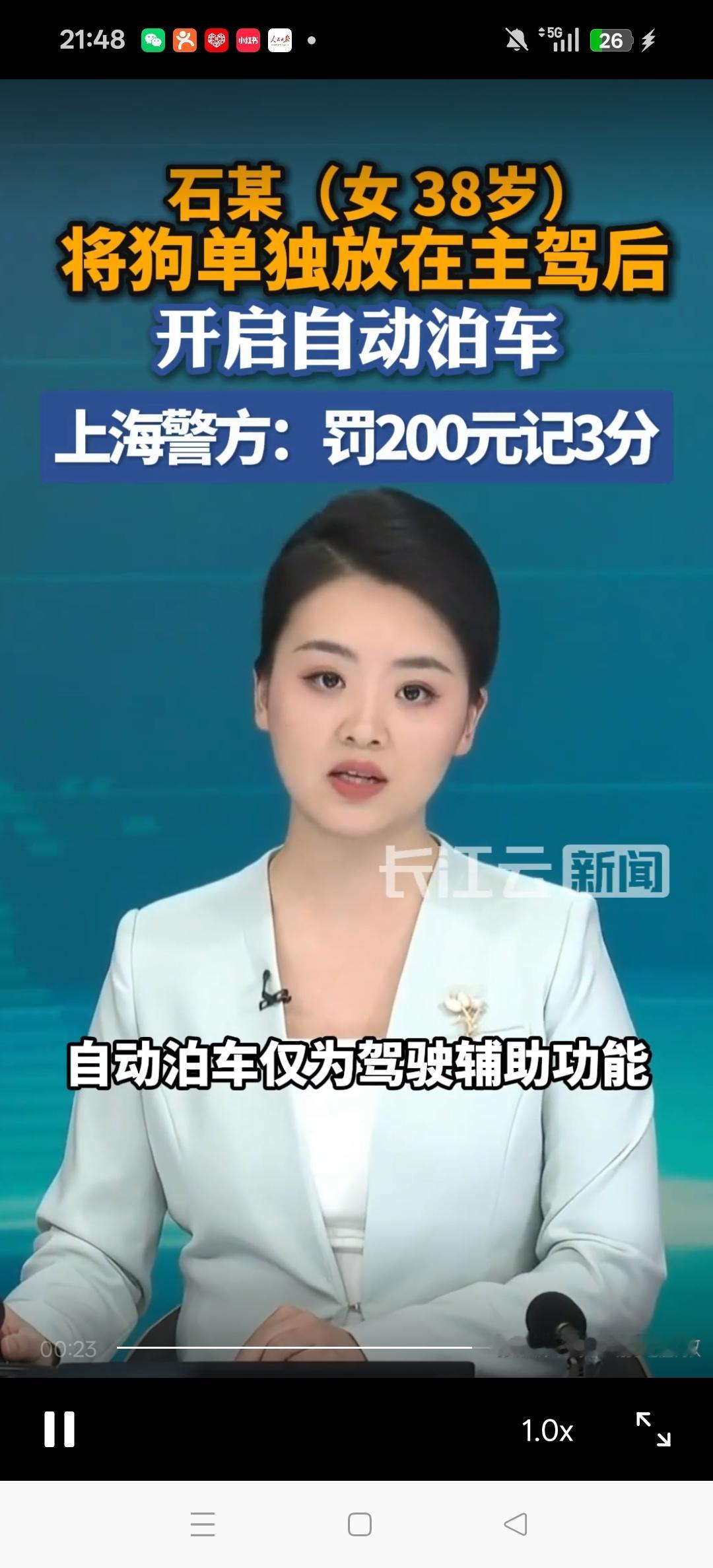 离谱！上海，38岁女子一心想博路人关注。她开车停在路边，直接将自家狗抱到驾驶位，