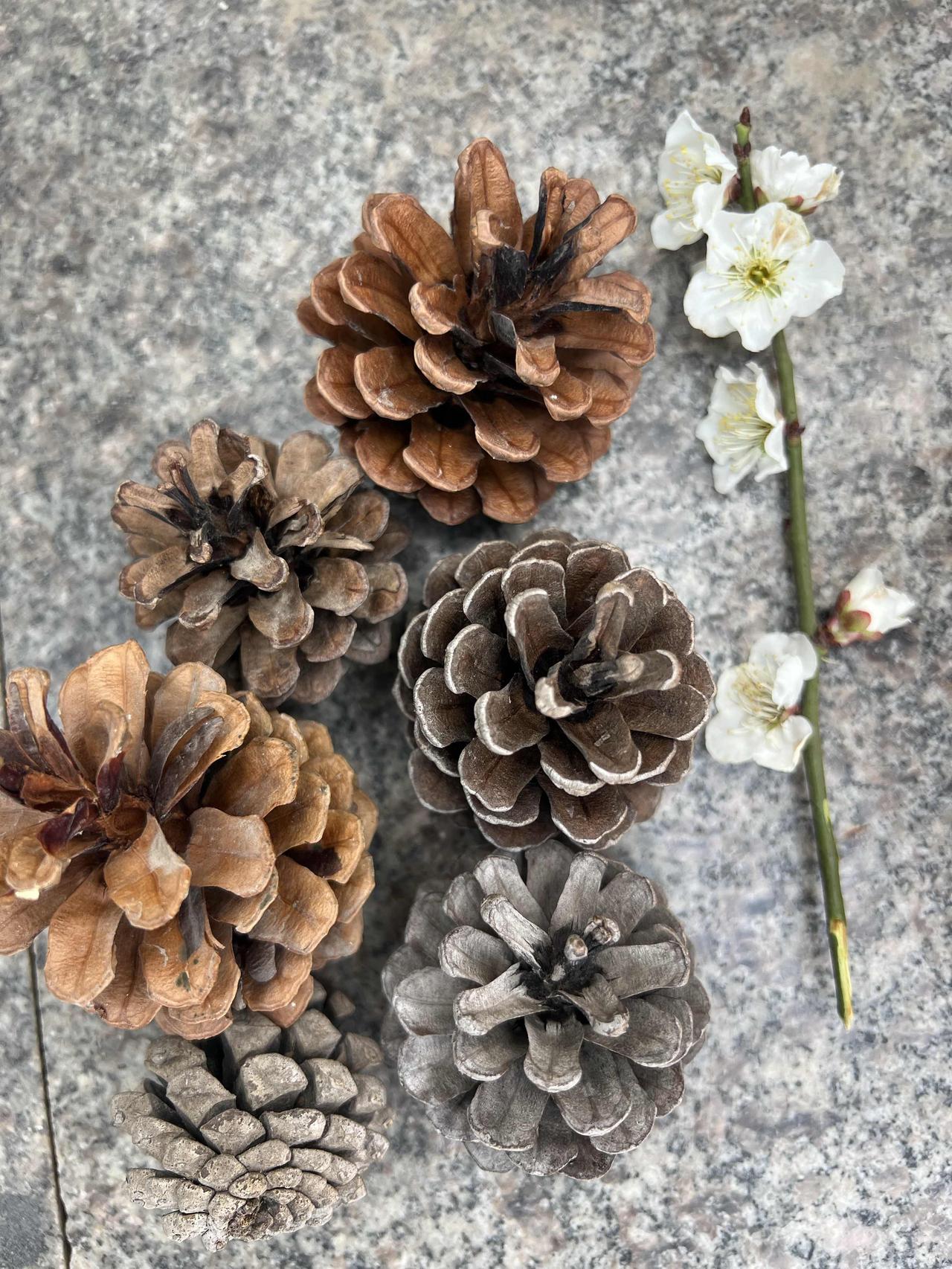 家里只有女儿的，一定不要再按老一辈的方式来培养女儿了，否则的话，你的养老就是问题