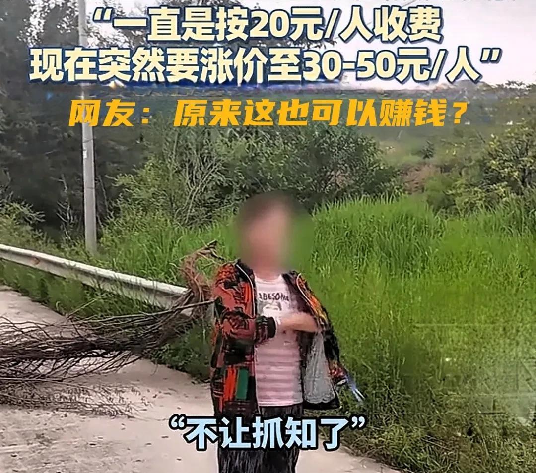 近日，多名游客到山西太原阳曲县某村捕捉知了猴，此前村民一直按每人20元的标准收费
